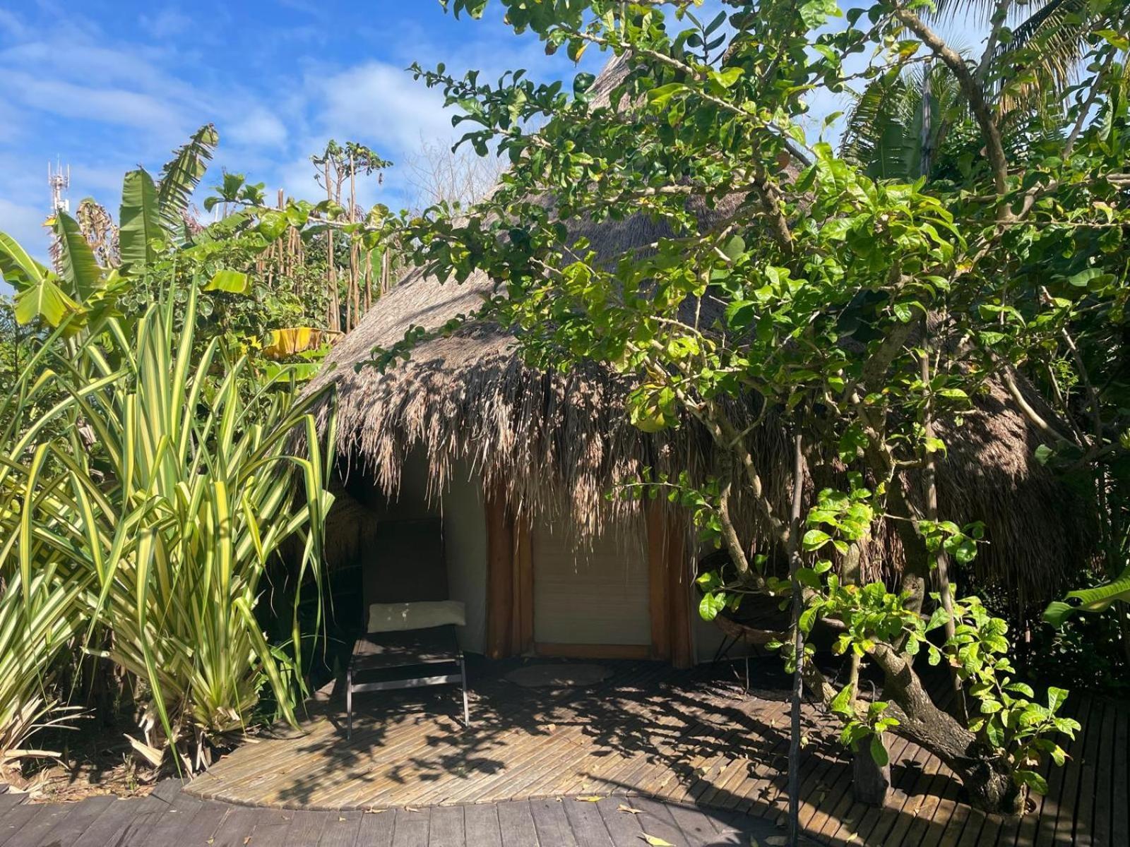 Beira Mar Ococoloco Lodge Porto de Galinhas